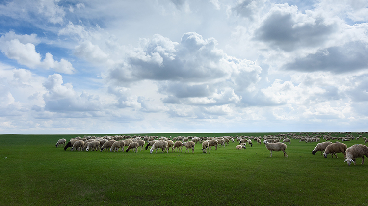 对于防雷器的遴选有哪些定见？